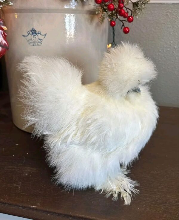 White Hen